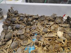 -集品鲜湾·蒸汽海鲜自助料理(青岛银座和谐广场店)