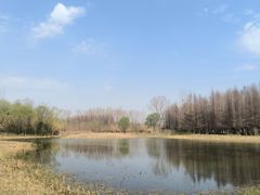 -溱湖国家湿地公园