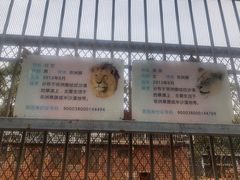 -昆明动物园
