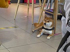 -驴世家驴肉火烧·凉皮·胡辣汤(五道口店)