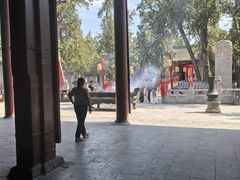 -关林