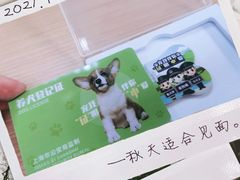 -爱侣宠医·鹦鹉专科·小型哺乳类·异宠专科(灵石路店)