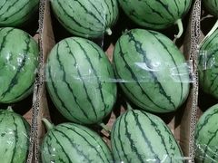 -菜园坝水果市场