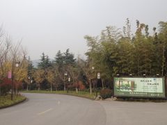 iphone_upload_pic-旺山景区