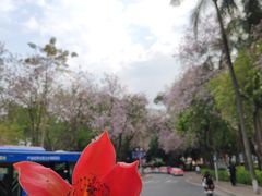 -广州人民艺术中心