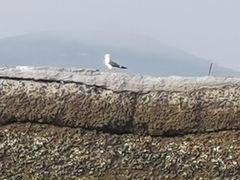 -那香海钻石沙滩浴场