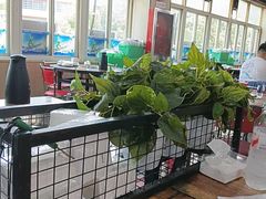 -皖北巫氏三胖地锅鸡(长淮总店)