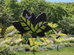 -上海共青森林公园