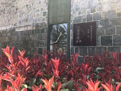 -莫干山风景区