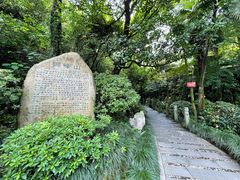 -十八棵（老龙井）御茶园(老龙井店)