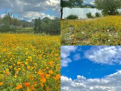 -东钱湖旅游度假区