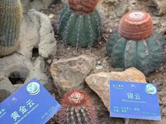 -国家植物园南园