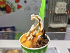 -Salud撒露欧洲冻酸奶(北苑上品店)