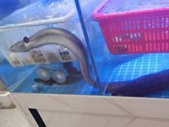 -鹅香四海·卤水火锅·砂锅粥·潮汕菜(宝安店)