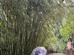 -盘龙寺