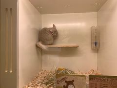 -龙猫仔乐园(惠福东路店)