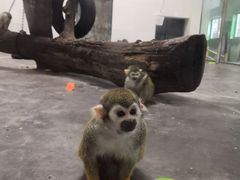 -西安秦岭野生动物园