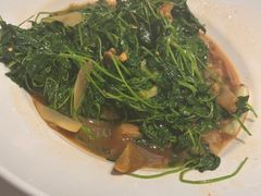 -洋洋中餐馆·SINCE 1997(信投店)