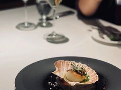 北海道大扇贝-Oyster Talks 四度蚝法餐厅