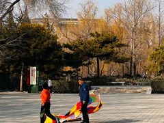 -玲珑塔公园
