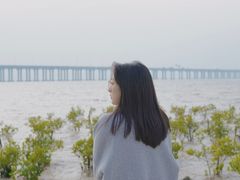 -宝安西湾红树林湿地公园