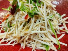 炝拌恰玛菇-亚克西姆新疆菜(库车店)