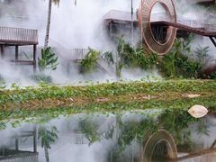 -海南热带雨林国家公园吊罗山景区