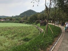 -红山村