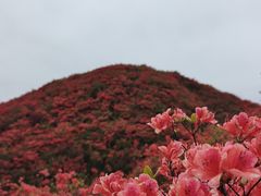 -大围山国家森林公园