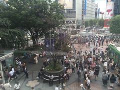 -涩谷区
