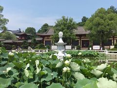 -庐山风景名胜区-东林大佛