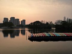 -新江湾城公园
