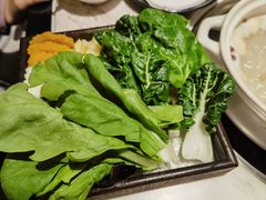 -汤城·料青山