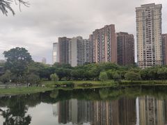 -四海公园(南山区)