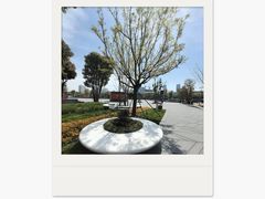 -龙华寺