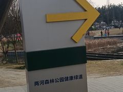 -两河城市森林公园