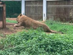 -昆明动物园