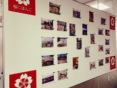 -樱花国际日语(人广中心)