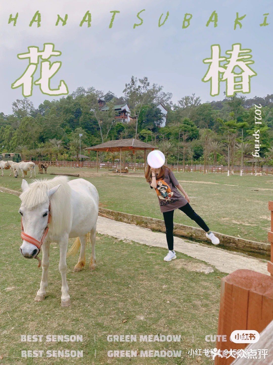 🐒肇庆周边游|四会大虫生态动物乐园|亲子游