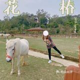 🐒肇庆周边游|四会大虫生态动物乐园|亲子游