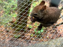 -五营红松林海景区