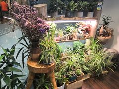 -十二舍·湯物素煮(江泰潤政店)