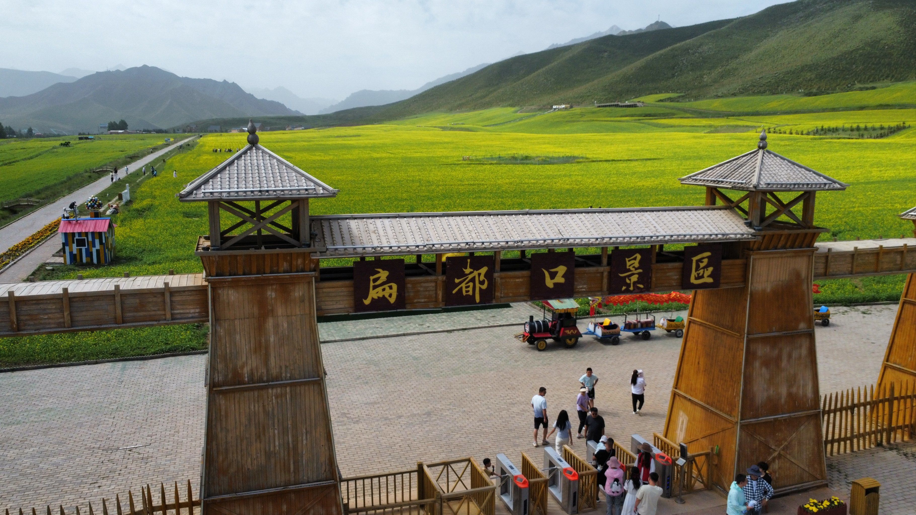 天天领红包 扁都口风景区,再来欣赏一次夏天的油菜花