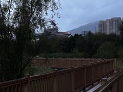 -洱海月湿地公园
