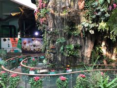 -正佳雨林生态植物园