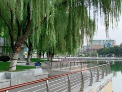 -西北湖绿化广场