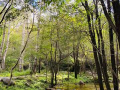 -玉渡山自然风景区