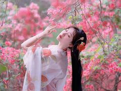 -木兰云雾山