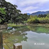 大风车和石头桥是电影云水谣取景地