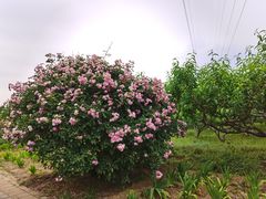 -北京市朝阳区第二少儿业余体校